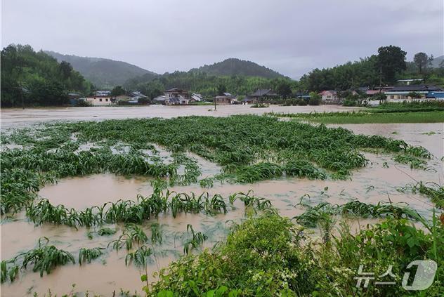 본문 이미지 - 산청군 생초면 대포지구 침수 피해 장면&#40;산청군 제공. 재판매 및 DB금지&#41;.