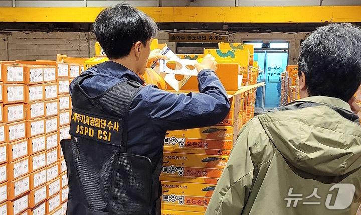 본문 이미지 - 상품외감귤 단속 현장.(제주특별자치도 제공, 재판매 및 DB 금지)