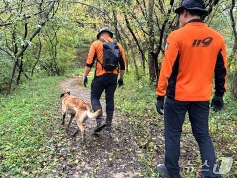 본문 이미지 - 충북 영동군 양산면 천태산에서 80대 노인이 실종돼 경찰과 소방당국이 나흘째 수색을 이어가고 있다. &#40;영동소방서 제공. 재판매 및 DB금지&#41; /뉴스1