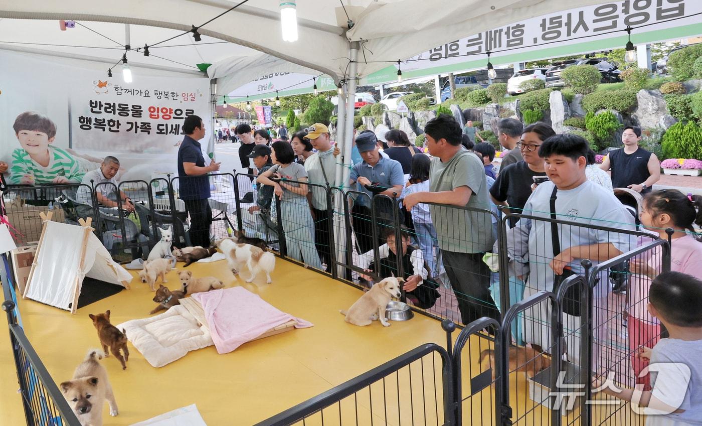 전북 임실군이 치즈축제 기간 운영한 &#39;유기 동물 입양 및 반려 산업 홍보관&#39;에서 유기견 21마리가 새 가족을 만났다.&#40;임실군제공. 재판매 및 DB금지&#41;2025.10.16/뉴스1