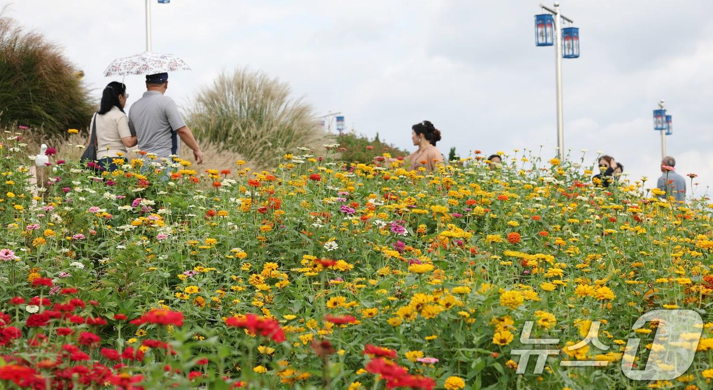 본문 이미지 - 16일 경기 평택시 오성면 평택시농업셍태원에서 열린 '2025 경기정원문화박람회'에서 시민들이 아름답게 꾸며진 정원을 관람하고 있다. 2025.10.16/뉴스1 ⓒ News1 김영운 기자