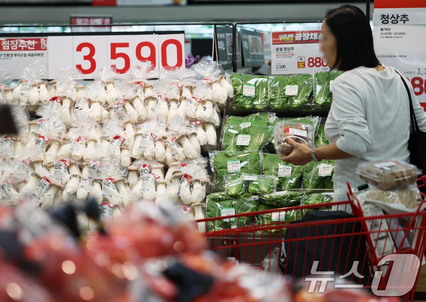 서울의 한 대형마트에서 장을 보는 시민들&#40;사진은 기사 내용과 관련이 없음&#41;. 2025.10.16/뉴스1 ⓒ News1 오대일 기자