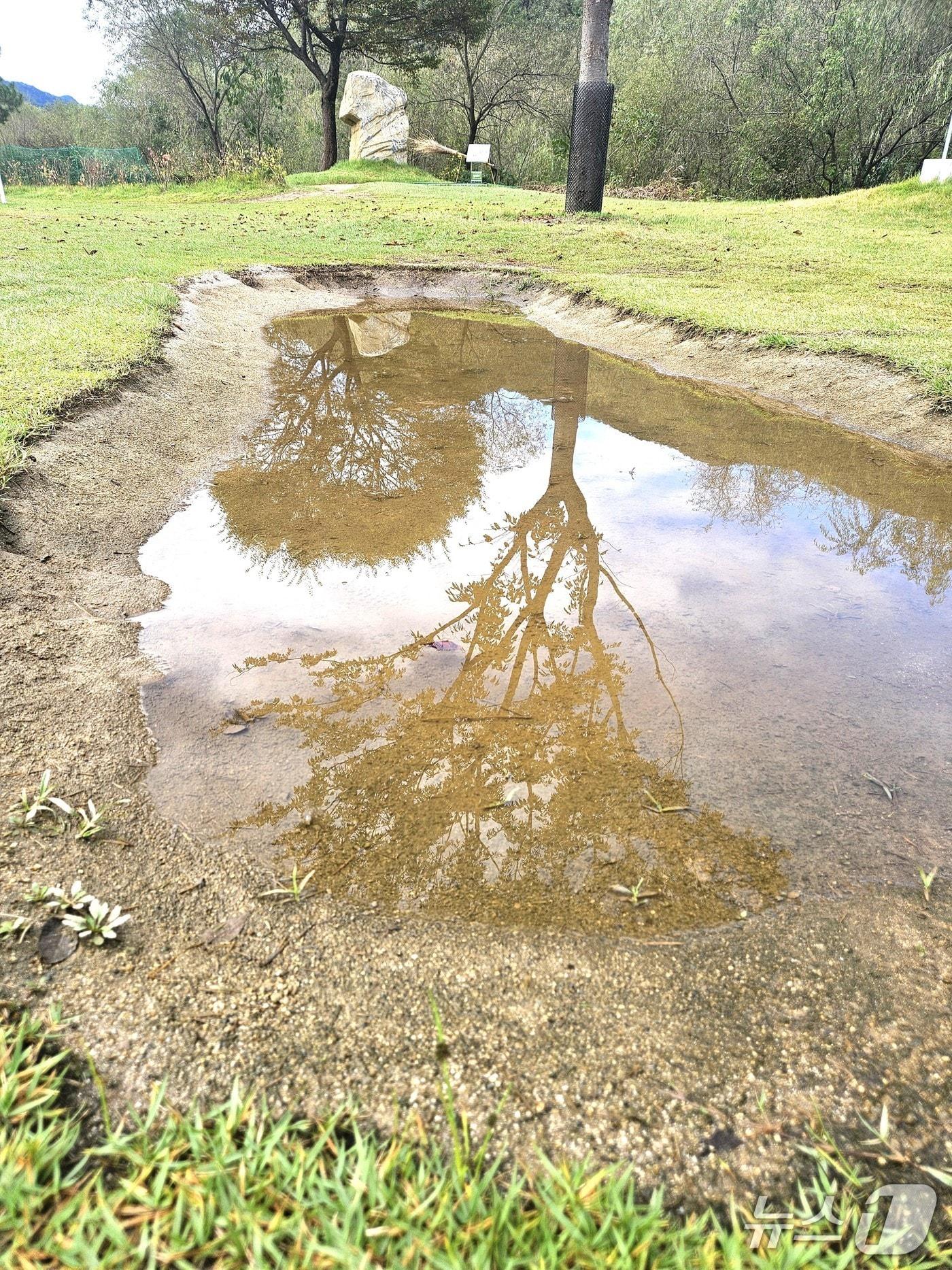 본문 이미지 - 첫 전국대회가 열릴 청풍파크골프장 벙커&#40;크기 가로 2m·세로 6m&#41;에 물이 고여 있다. 제천시는 지난 8월 벙커 물 고임을 없애기 위한 공사를 진행했다.2025.10.16/뉴스1 손도언 기자 