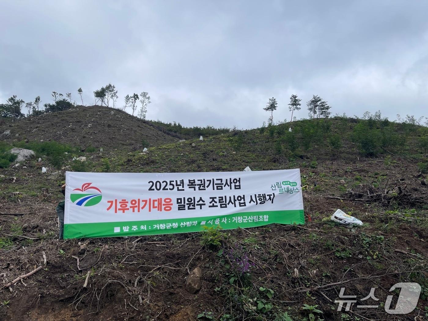 본문 이미지 - 거창군 ‘밀원수 조림사업’ 시행 대상지(거창군 제공. 재판매 및 DB금지).