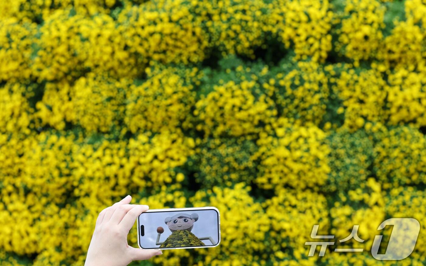 28일 대전·충남은 북서쪽 찬 공기가 유입되면서 아침 기온이 0도 내외까지 떨어질 것으로 예보됐다. 대전 유성구 유림공원 일원에 조성된 유성국화축제장을 찾은 시민들이 여유로운 시간을 보내고 있다. /뉴스1 ⓒ News1 김기태 기자