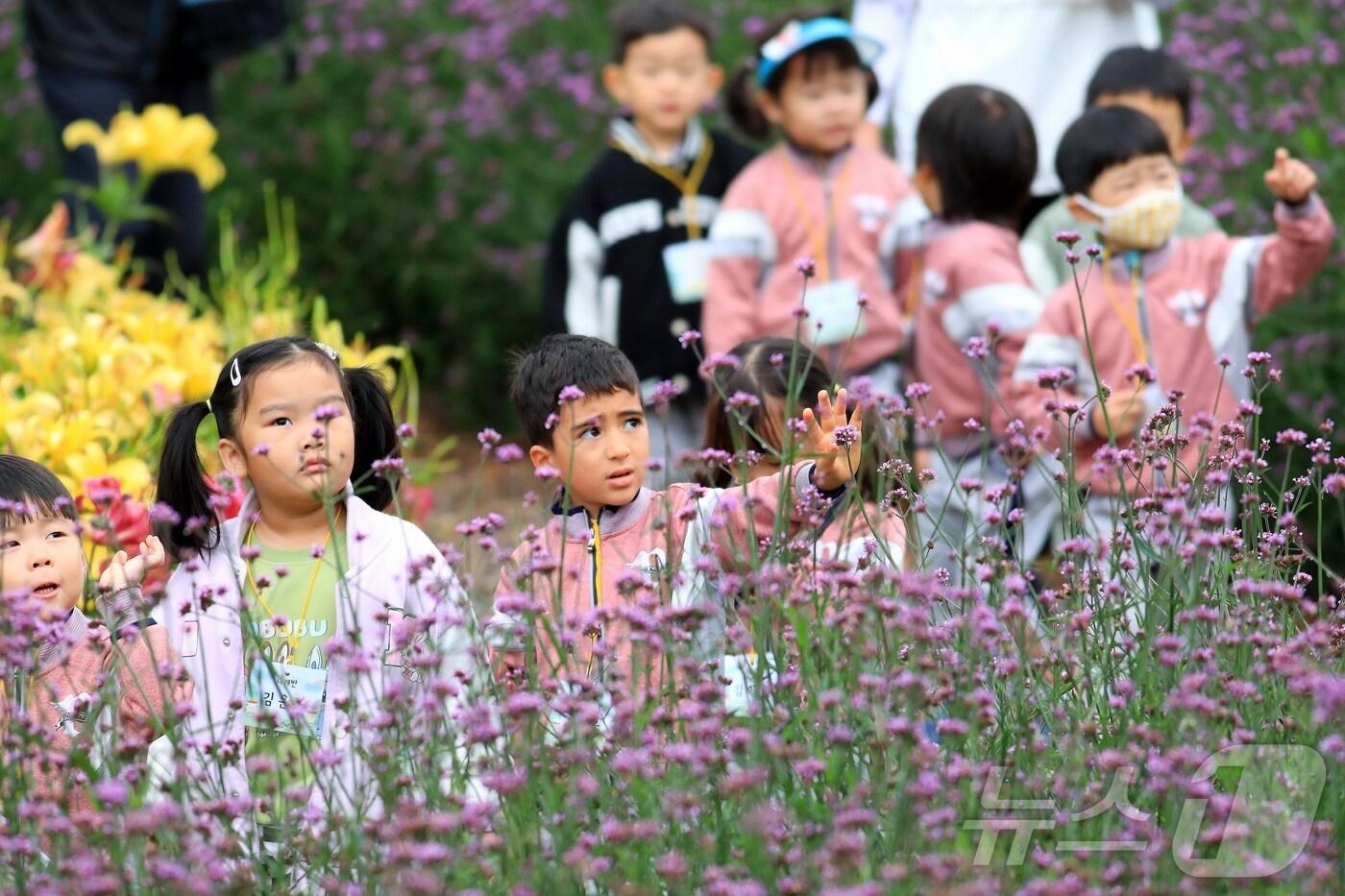 16일 강원 인제군 북면 용대리 일원에서 가을꽃 축제장을 찾은 어린이집 원아들이 꽃구경을 하고 있다. ‘인제에서 꽃길만 걷자’를 주제로 열린 이번 축제는 오는 19일까지 이어진다. &#40;인제군 제공. 재판매 및 DB 금지&#41; 2025.10.16/뉴스1 ⓒ News1 이종재 기자