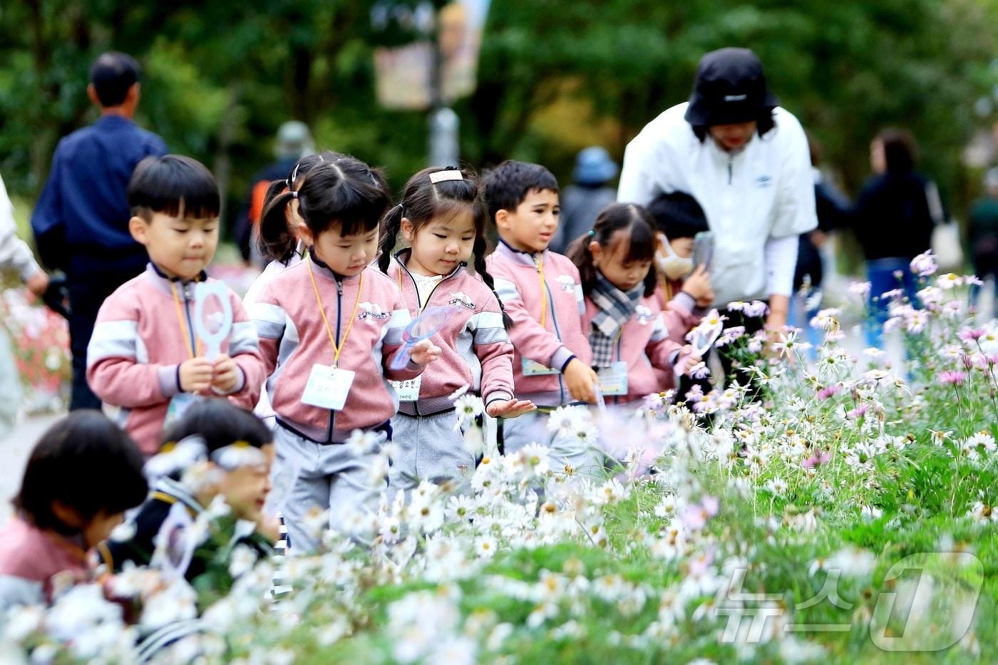 16일 강원 인제군 북면 용대리 일원에서 가을꽃 축제장을 찾은 어린이집 원아들이 꽃구경을 하고 있다.  &#40;인제군 제공. 재판매 및 DB 금지&#41; 2025.10.16/뉴스1 
