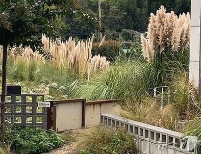 본문 이미지 -  카페정원 &#39;소오소오&#39;. &#40;울산시 제공. 재판매 및 DB 금지&#41; /뉴스1