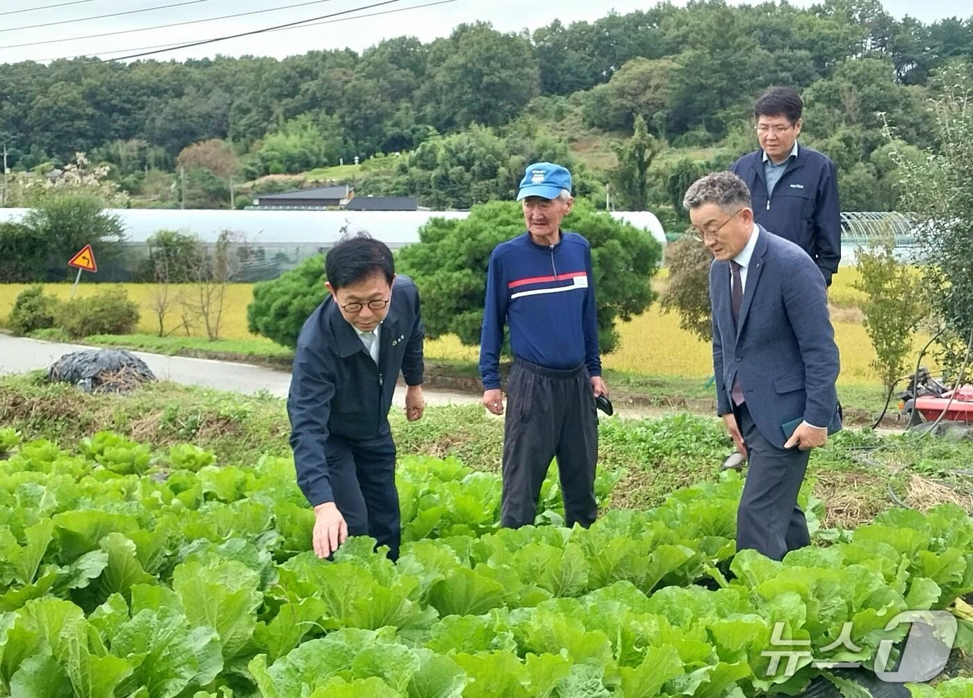 대전농협, 비 피해 농가 찾아 현장 점검 - 뉴스1