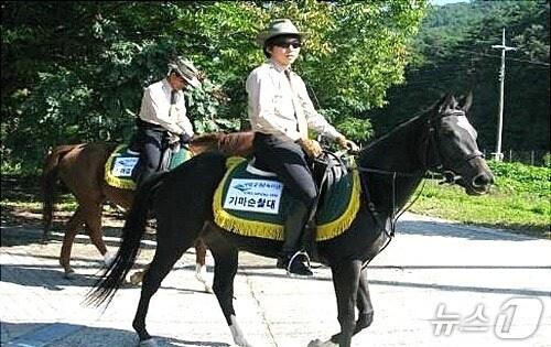 본문 이미지 - 속리산국립공원 기마순찰대 &#40;속리산국립공원사무소 제공. 재판매 및 DB금지&#41; /뉴스1