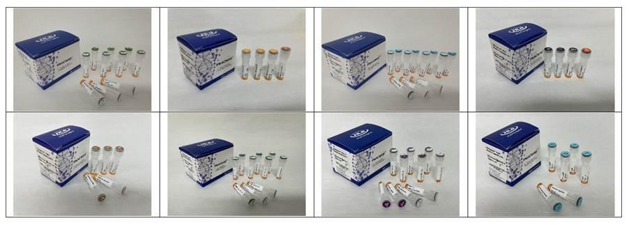 본문 이미지 -  파키스탄 약물 규제 당국에 제품 등록을 완료한 HLB파나진의 암 진단 제품 8종. (HLB파나진 제공)