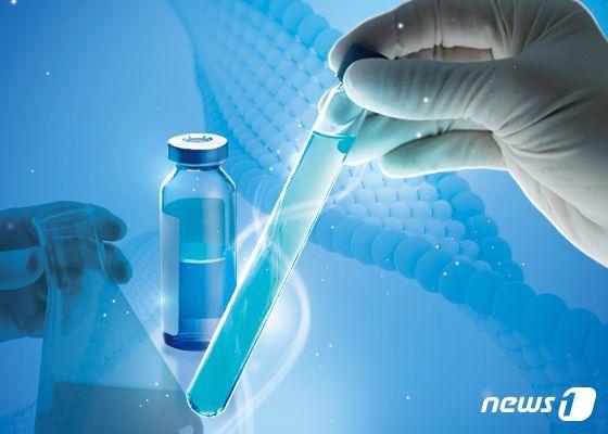 본문 이미지 - News1 DB