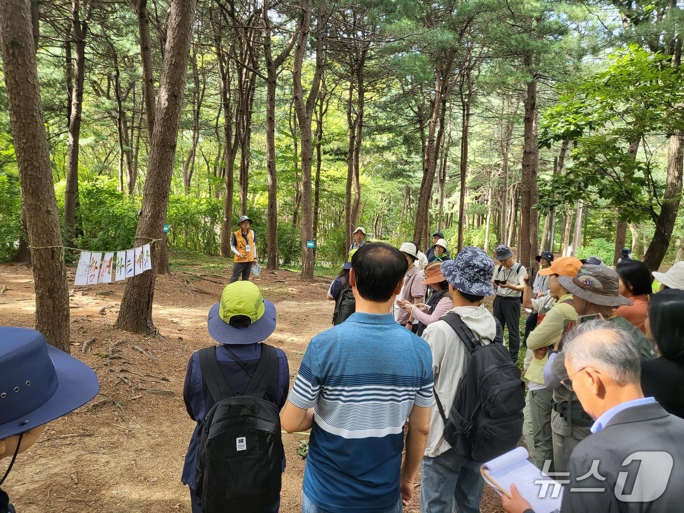 본문 이미지 - 지난해 서울 양재시민의숲에 열린 숲해설 경연대회 모습. &#40;산림청 제공. 재판매 및 DB금지&#41; 2025.10.17/뉴스1