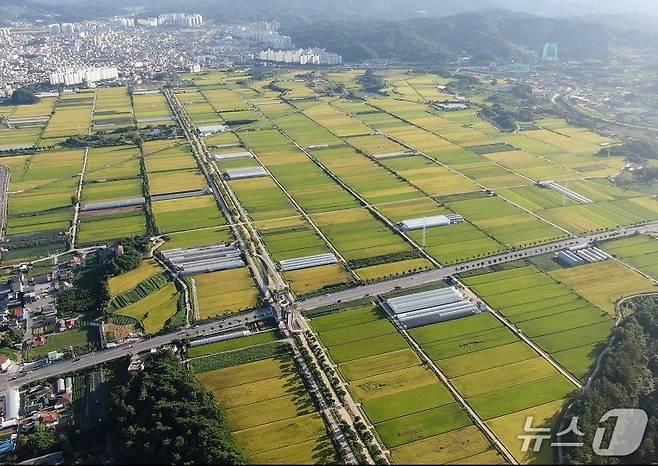 본문 이미지 -  제천 의림지뜰. (제천시 제공. 재판매 및 DB금지)/뉴스1