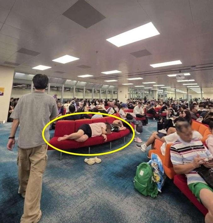 본문 이미지 - &#40;보배드림 갈무리&#41;