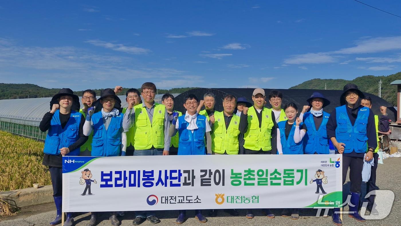 본문 이미지 - 농협대전본부와 대전교도소 소속 보라미봉사단이 17일 일손부족농가 지원 활동을 펼치고 기념사진을 촬영하고 있다.(대전농협 제공) /뉴스1