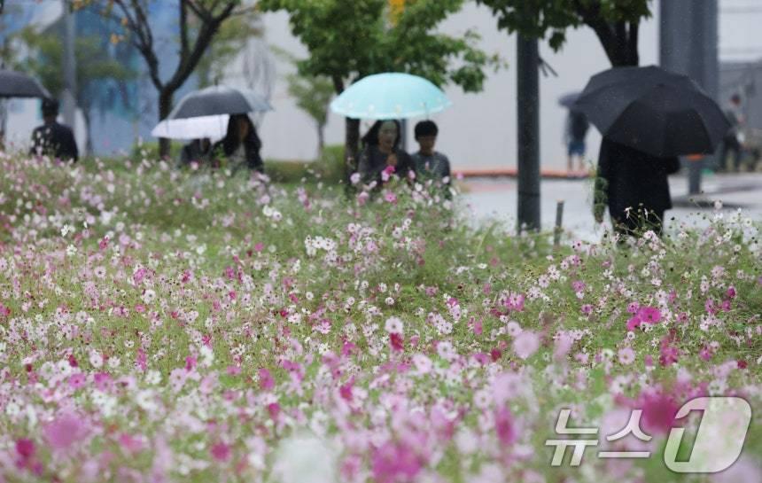본문 이미지 - 수도권 곳곳에 가을비가 내린 10일 경기 수원시 영통구 경기도청 인근에서 시민들이 우산을 쓰고 지나가고 있다. 2025.10.10/뉴스1 ⓒ News1 김영운 기자