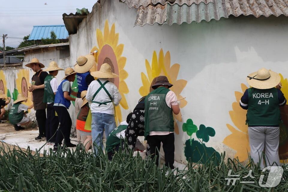 본문 이미지 - 함평영화학교 학생들이 마을 담벽에 벽화그리기 활동을 하고 있다. &#40;전남도교육청 제공, 재판매 및 DB 금지&#41;/뉴스1 