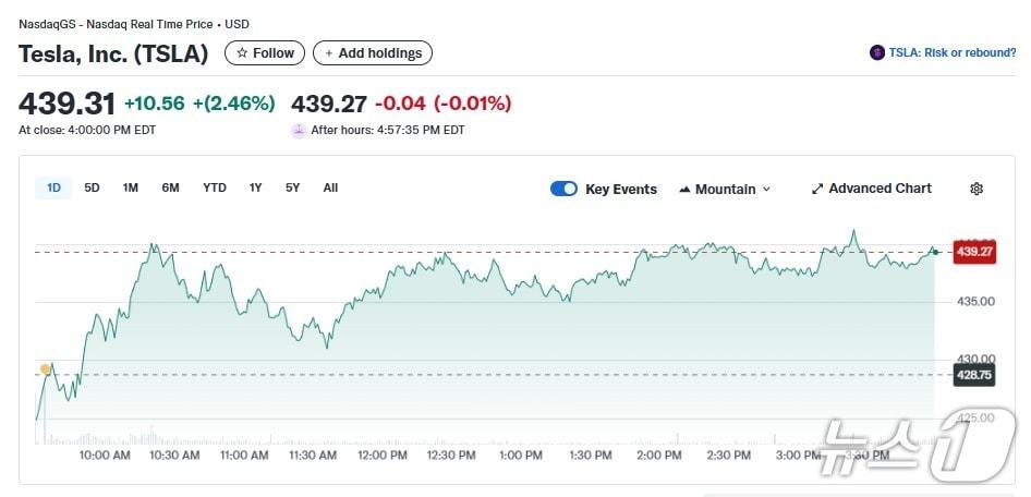 본문 이미지 - 테슬라 일일 주가추이 - 야후 파이낸스 갈무리