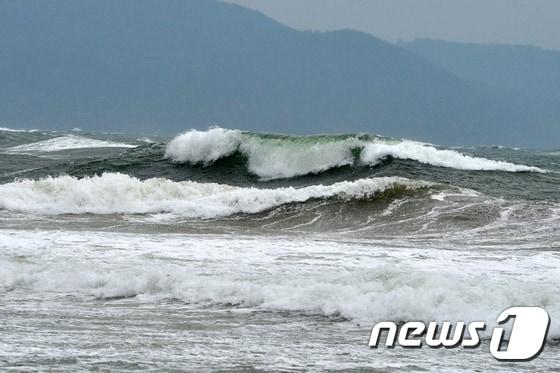 본문 이미지 - 파도가 치는 모습.&#40;뉴스1DB&#41;/뉴스1