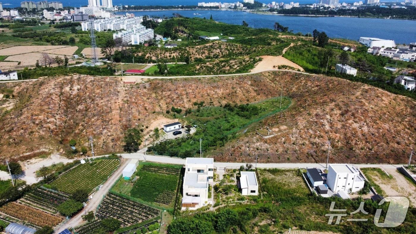 우수조림지에 선정된 강릉 저동 일원.(강원도 제공. 재판매 및 DB금지)/뉴스1