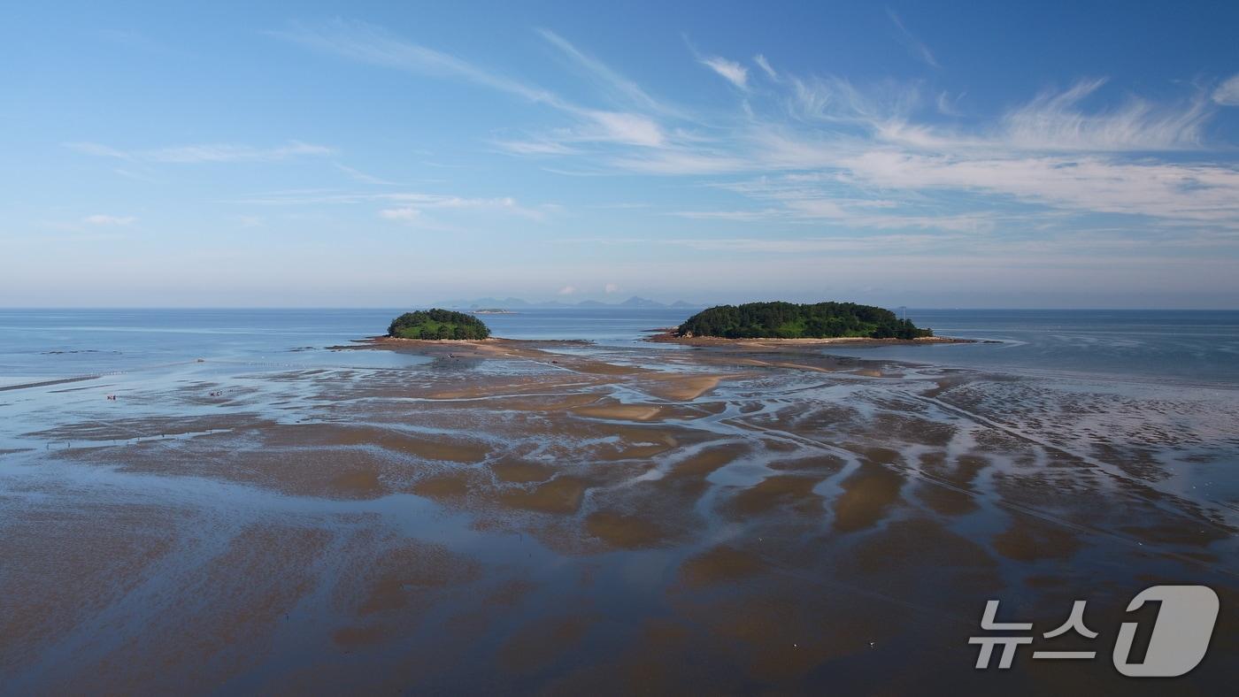 세계자연유산 고창갯벌 사진. &#40;고창군 제공. 재판매 및 DB금지&#41;