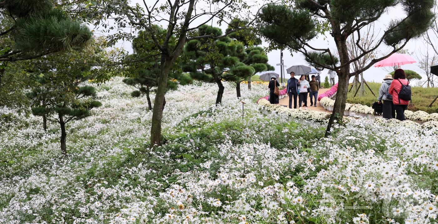 비가 내린 18일 전북 임실군 옥정호 붕어섬을 찾은 관광객들이 가을의 정취를 느끼고 있다. .&#40;임실군제공. 재판매 및 DB금지&#41;2025.10.18/뉴스1 ⓒ News1 김동규 기자