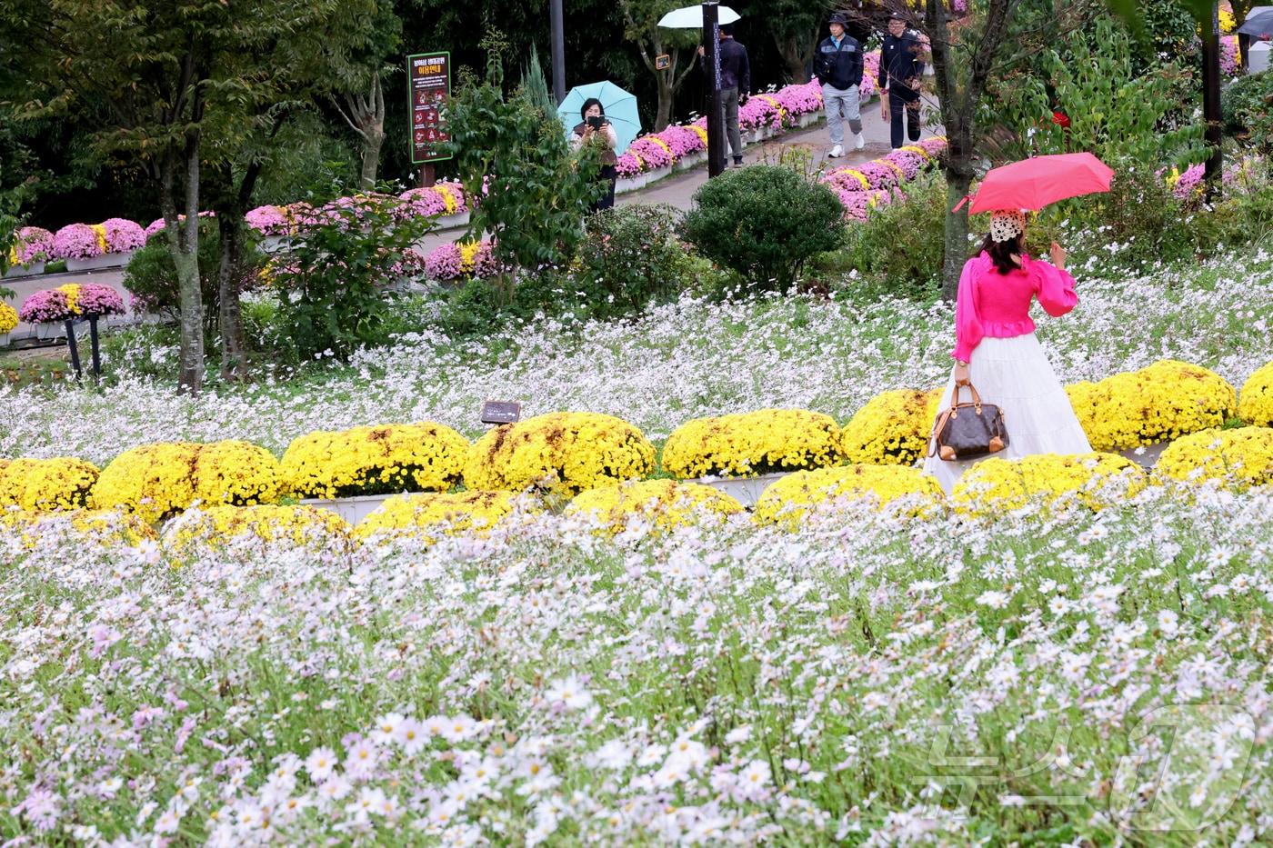 비가 내린  전북 임실군 옥정호 붕어섬을 찾은 관광객들이 가을의 정취를 느끼고 있다 .&#40;임실군제공. 재판매 및 DB금지&#41;2025.10.18/뉴스1 ⓒ News1 김동규 기자