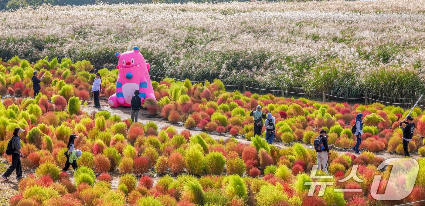 완연한 가을날씨를 보인 19일 서울 마포구 하늘공원에서 열린 서울억새축제를 찾은 시민들이 댑싸리밭과 억새밭을 거닐고 있다. 2025.10.19/뉴스1 ⓒ News1 이호윤 기자