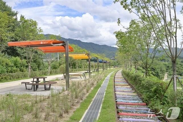 본문 이미지 - 강원 원주시의 치악산 바람길숲 일부 구간 자료 사진. &#40;재판매 및 DB금지&#41;/뉴스1