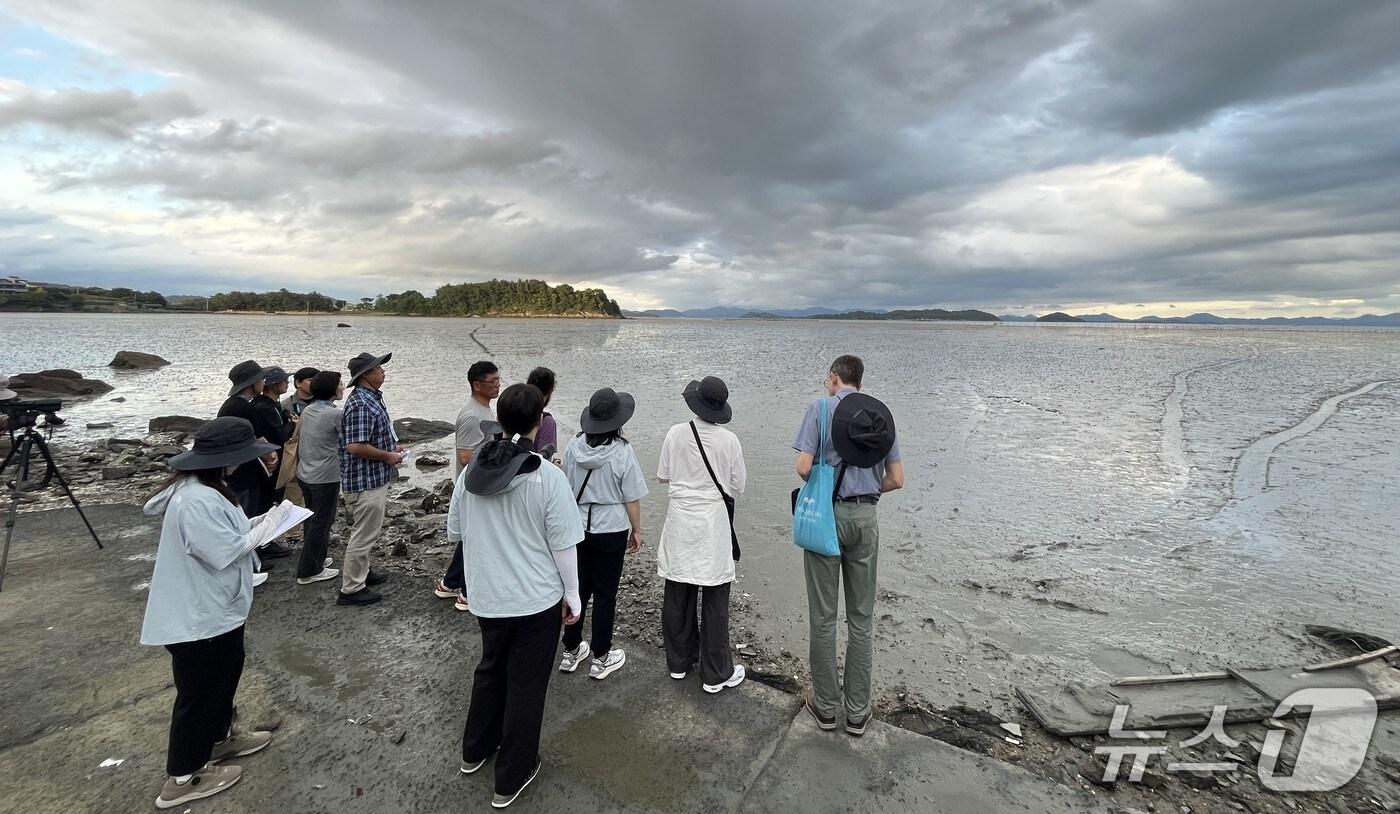 고흥 갯벌 현장 실사 모습.(전남도 제공. 재판매 및 DB금지) 2025.10.2/뉴스1