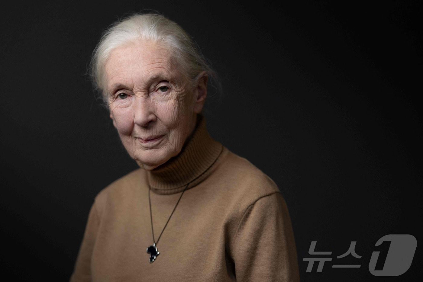 영국의 동물행동학자이자 영장류학자 제인 구달 박사가 1일&#40;현지시간&#41; 91세를 일기로 영면했다. 2024.10.18. ⓒ AFP=뉴스1 ⓒ News1 윤다정 기자