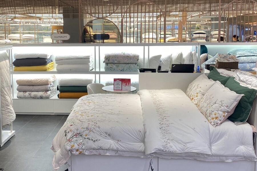 본문 이미지 - 사진=소프라움(SOFRAUM) 제공