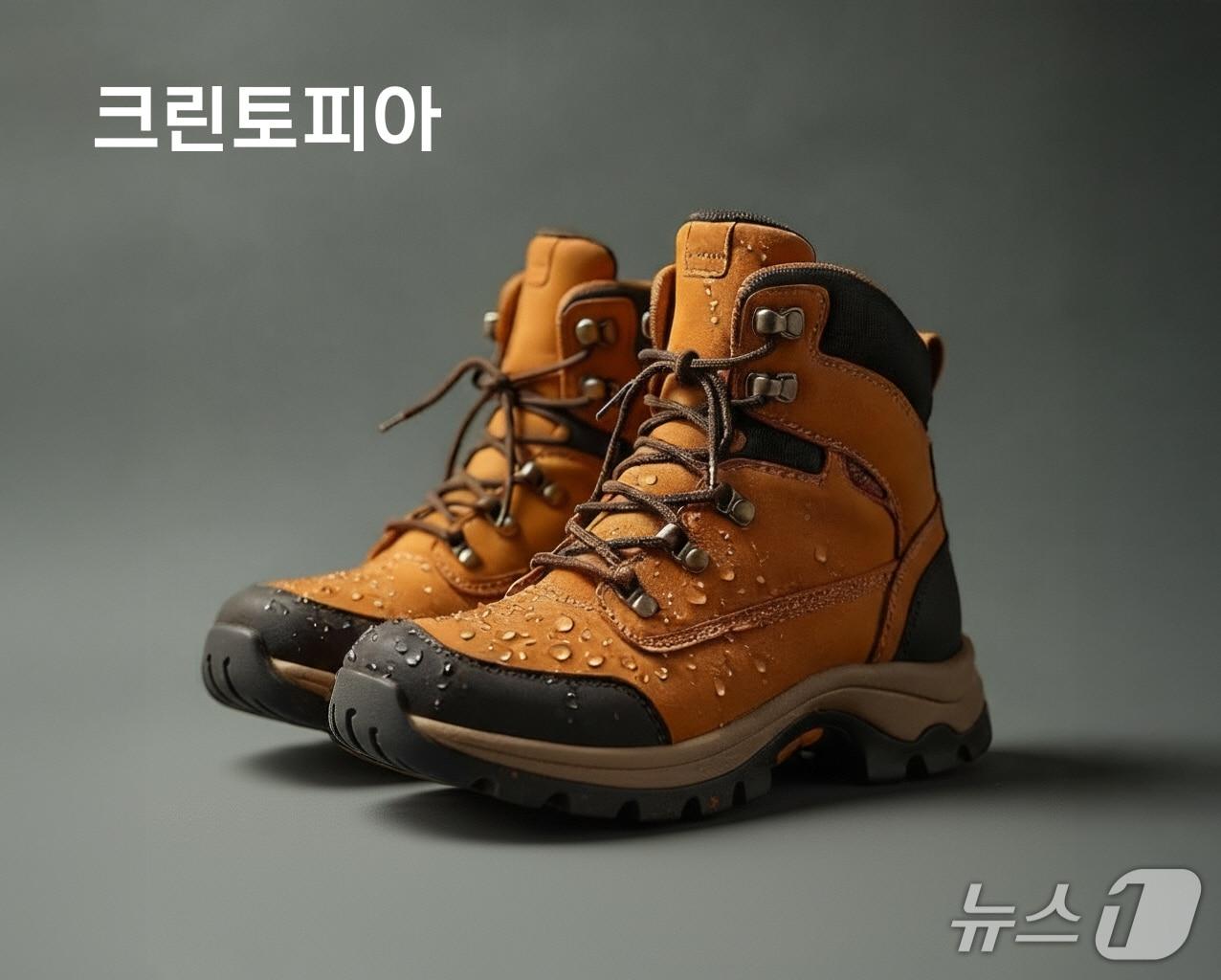 본문 이미지 - 크린토피아, 가을 산행 시즌 맞아 '등산화 발수가공 서비스' 출시