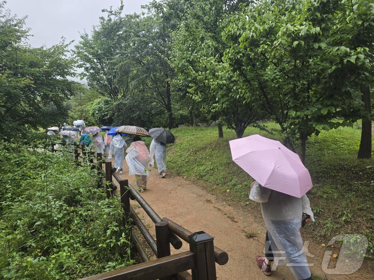 본문 이미지 - 산림청 한국산림복지진흥원 국립산림치유원은 영주YMCA 한글 교실 수강생을 대상으로 ‘어르신들의 마음, 숲에서 한글로 피어나다’ 프로그램을 오는 30일까지 매주 목요일 총 5회 운영한다.(산림청 제공. 재판매 및 DB금지) /뉴스1