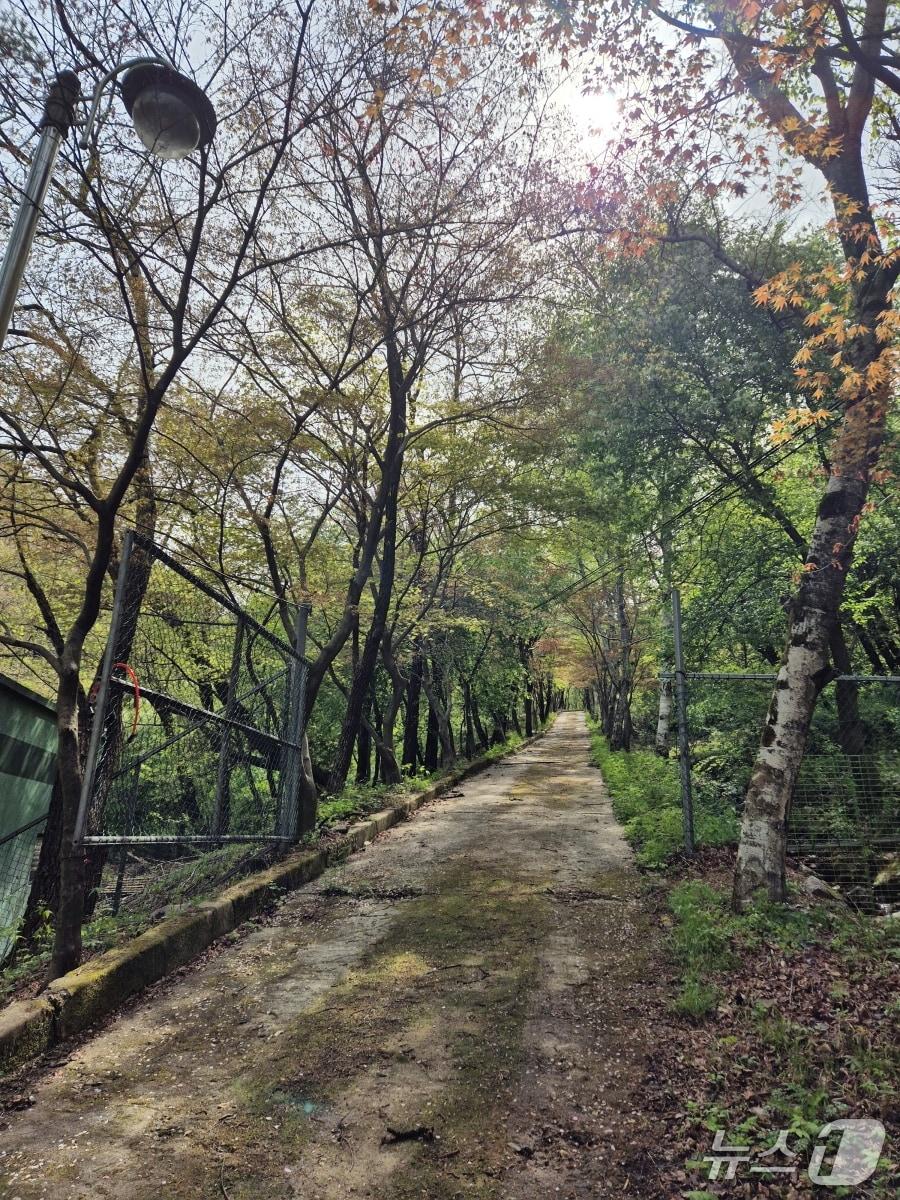 본문 이미지 - 동두천 소요산 관광지 내 &#39;소요 숲 힐링공간 사업&#39; 예정지. &#40;동두천시 제공, 재판매 및 DB금지&#41;