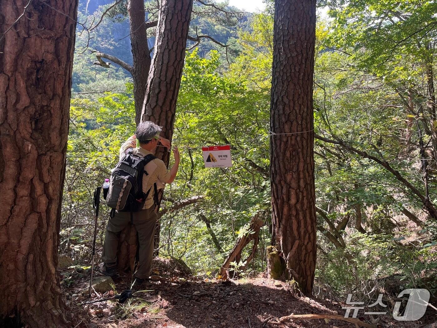 본문 이미지 - 속리산 탐방로 점검 장면&#40; 속리산국립공원사무소 제공. 재판매 및 DB금지&#41; /뉴스1