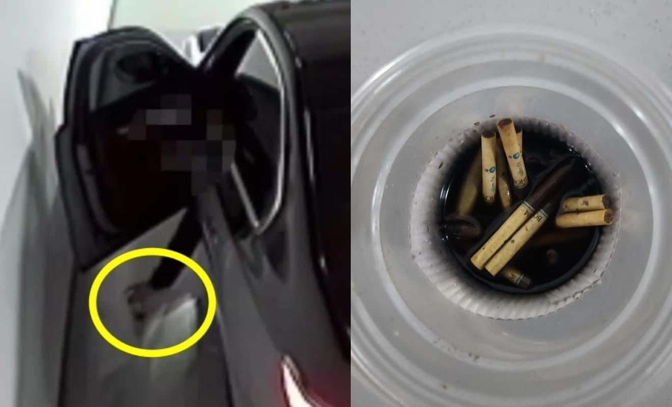 본문 이미지 - (보배드림)