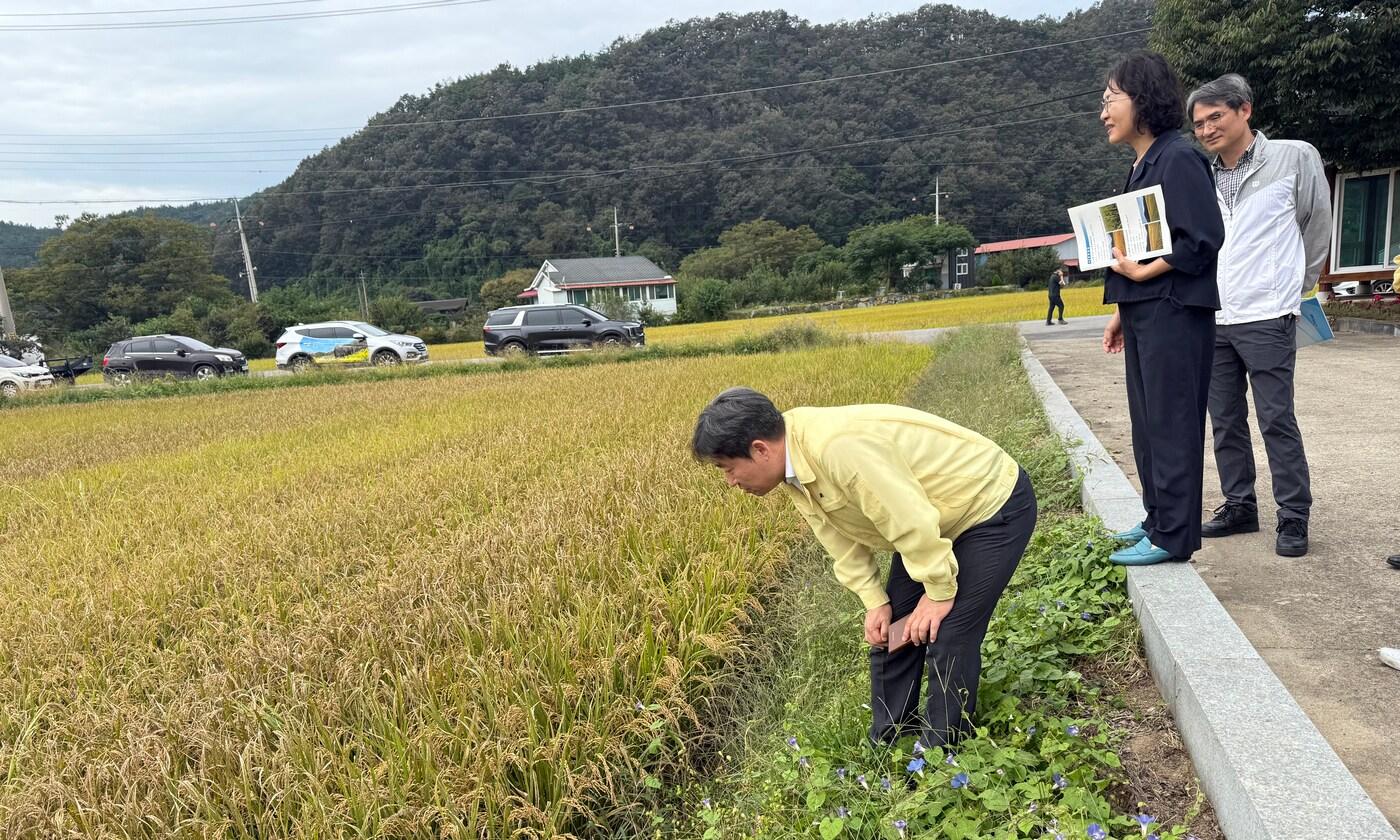 곽도연 농촌진흥청 국립식량과학원장이 2일 전라남도 화순군을 찾아 벼 깨씨무늬병 발생 현황을 점검하고 있다. &#40;농촌진흥청 제공&#41; 2025.10.2 /뉴스1