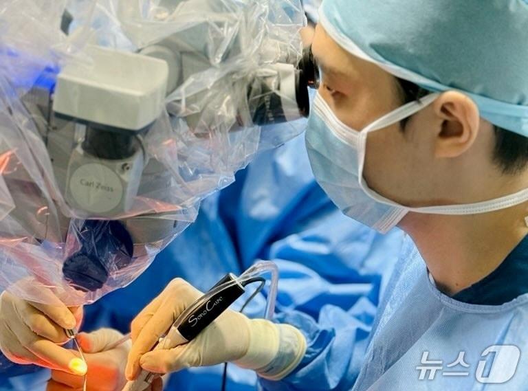 본문 이미지 - 반려동물 수술을 하고 있는 수의사&#40;이안동물의학센터 제공&#41; ⓒ 뉴스1