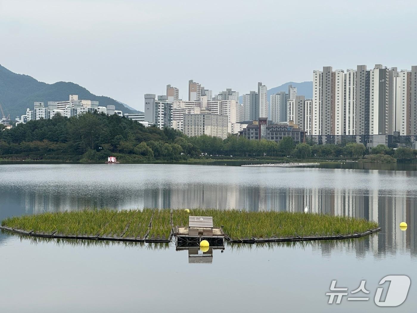 본문 이미지 - 충주 호암지 풍경./뉴스1