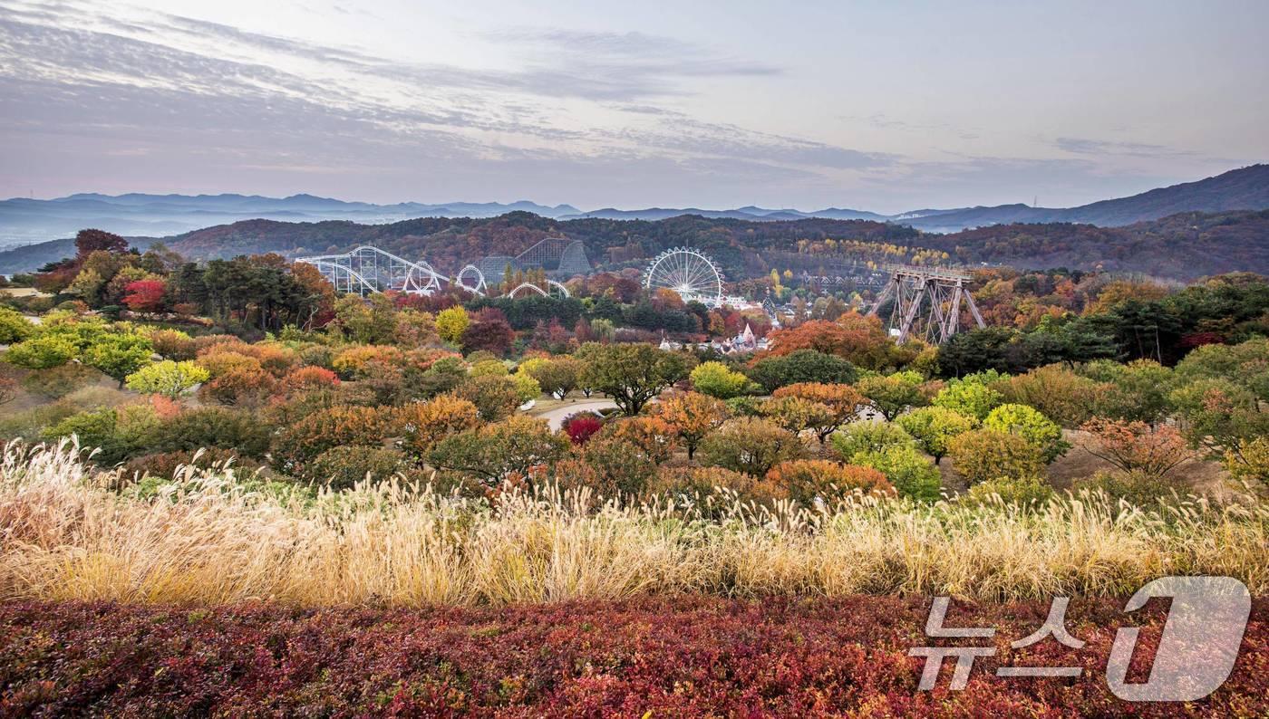 가을 단풍 물든 에버랜드&#40;삼성물산 제공. 재판매 및 DB 금지&#41; 2025.10.20/뉴스1