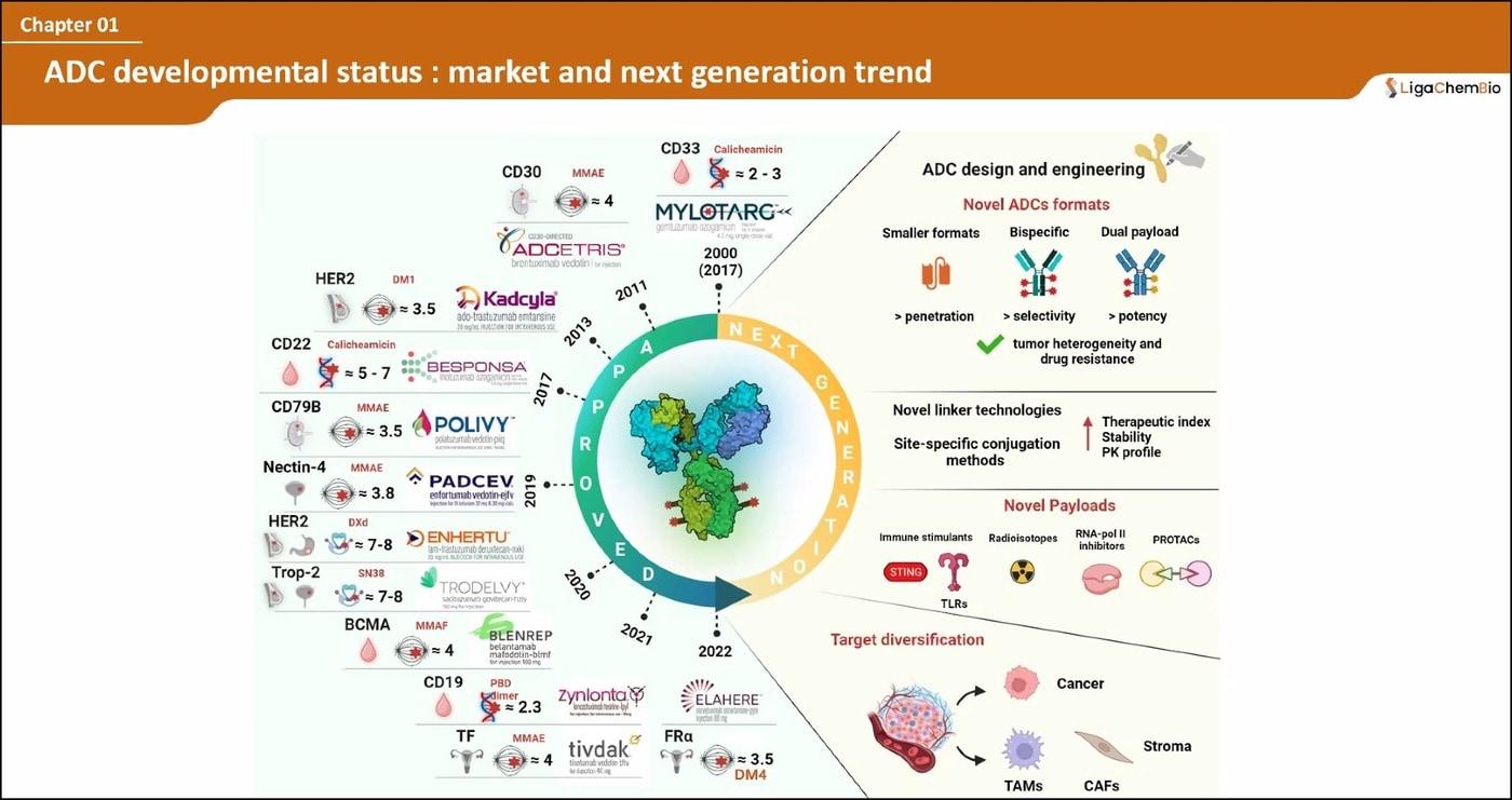 항체약물접합체&#40;ADC&#41; 약물 종류와 개발 전망.&#40;리가켐바이오사이언스 제공&#41;/뉴스1