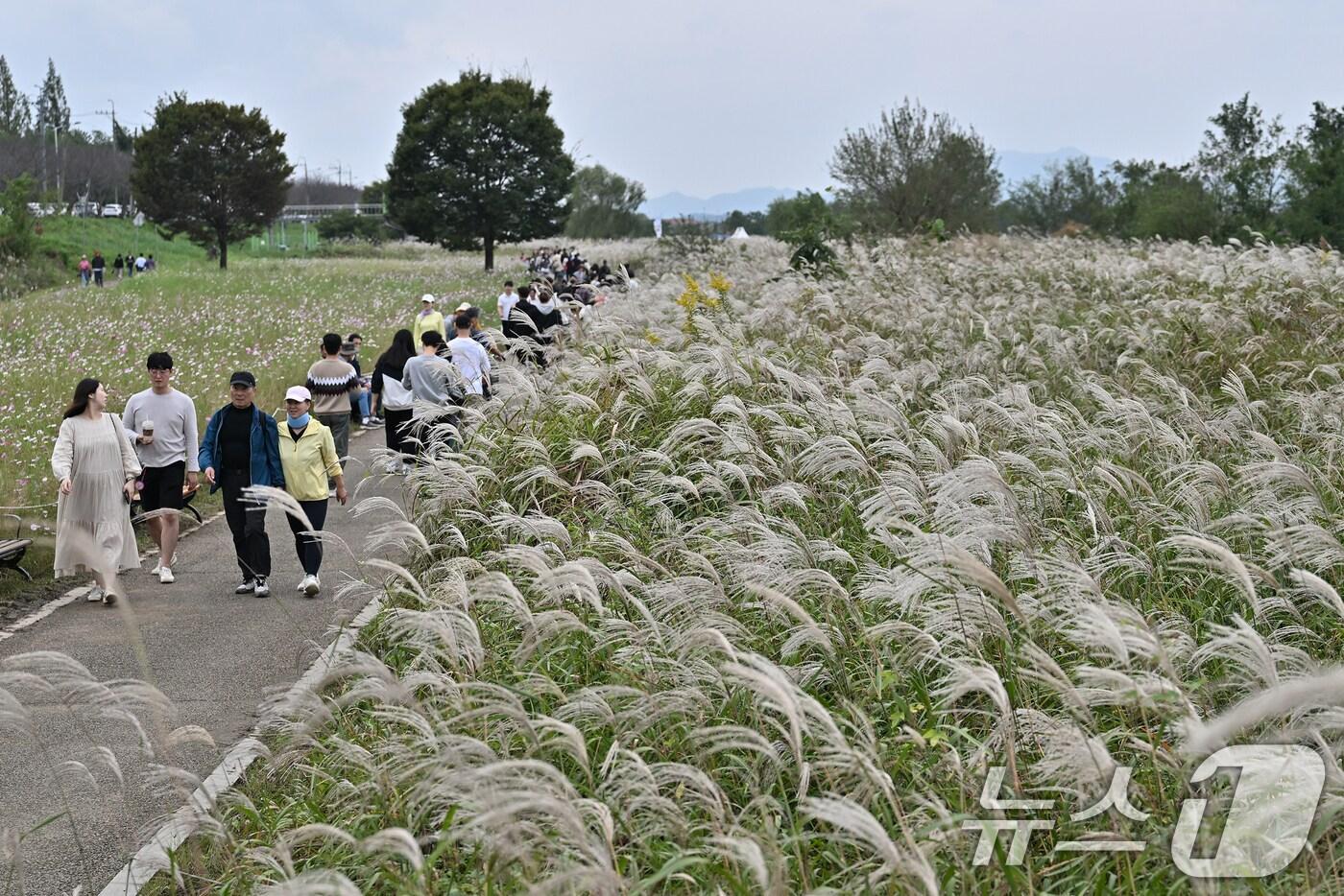 지난 19일 광주 서구 영산강변에서 열린 &#39;제10회 광주서창억새축제&#39;에서 시민들이 여유를 만끽하고 있다.&#40;광주 서구 제공. 재판매 및 DB금지&#41; 2025.10.20/뉴스1 ⓒ News1 