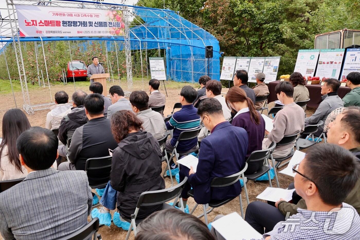 강원특별자치도 농업기술원, &#39;강원형 다축수형&#39;스마트과수원 현장평가회 개최.&#40;도농업기술원 제공, 재판매 및 DB금지&#41;