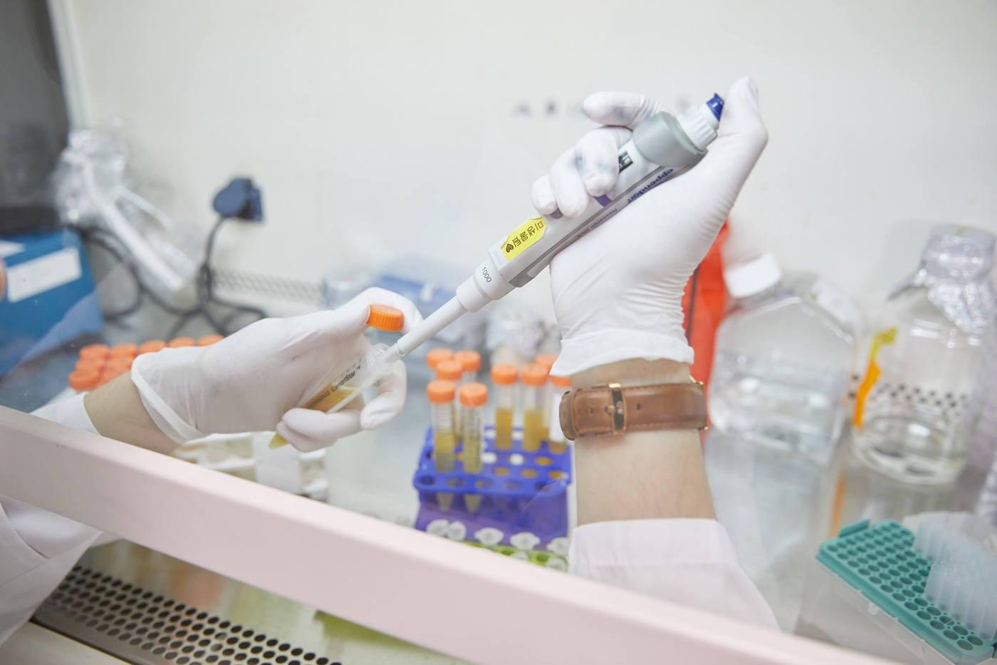 지놈앤컴퍼니 연구원이 실험을 하고 있다.&#40;지놈앤컴퍼니 제공&#41;/뉴스1