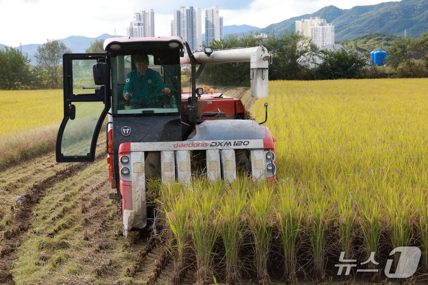 본문 이미지 - 박영기 제천시의회 의장이 직접 농기계에 올라 농가 일손을 도왔다.(제천시의회 제공. 재판매 및 DB금지)/뉴스1  