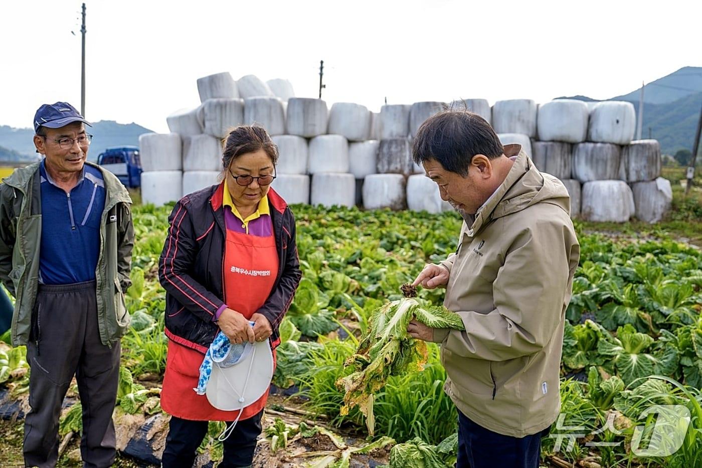 이재영 충북 증평군수가 이례적인 가을장마로 농작물 피해가 확산함에 따라 피해 농가를 방문해 현장을 점검하고 있다.&#40;증평군 제공, 재판매 및 DB금지&#41;/뉴스1