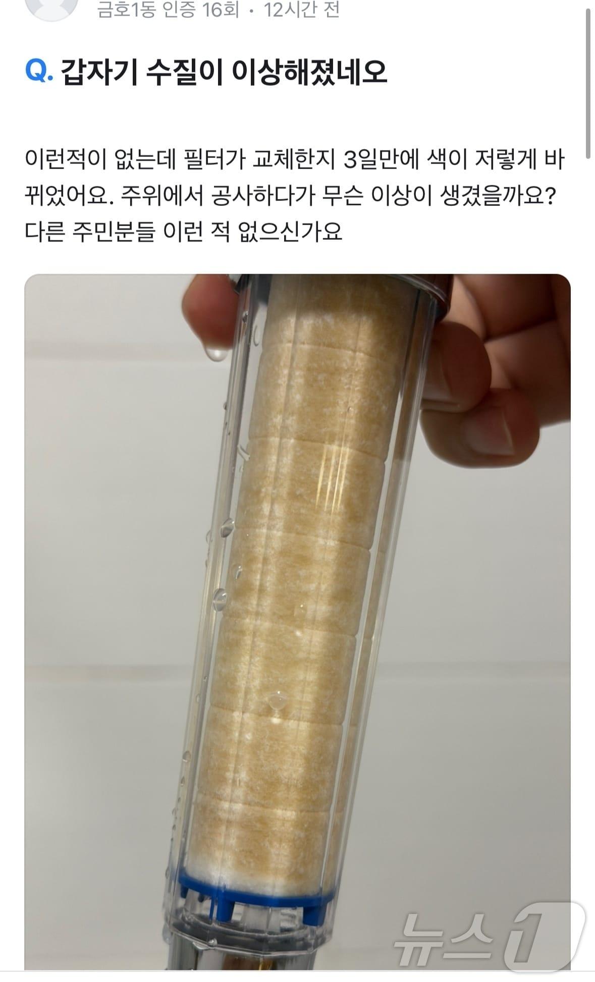 본문 이미지 - 온라인 커뮤니티에 올라온 광주 샤워기 필터 변색. (커뮤니티 갈무리. 재판매 및 DB 금지) 