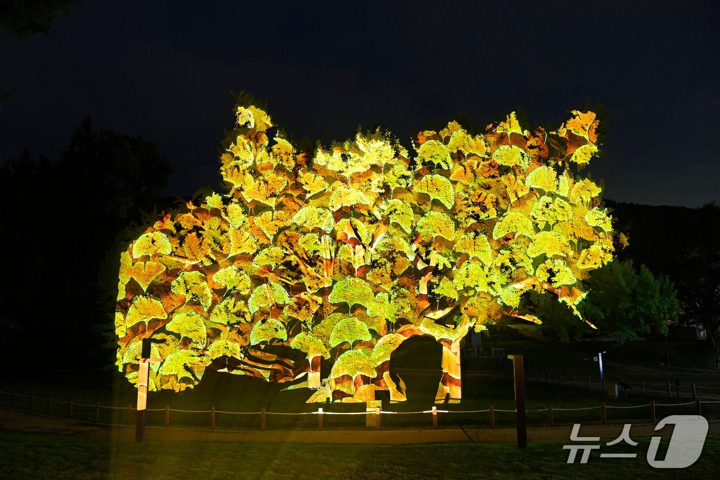 대구 달성군 도동서원에 있는 440년 은행나무에 투사된 미디어파사트 콘텐츠.(대구 달성군 제공. 재판매 및 DB금지)